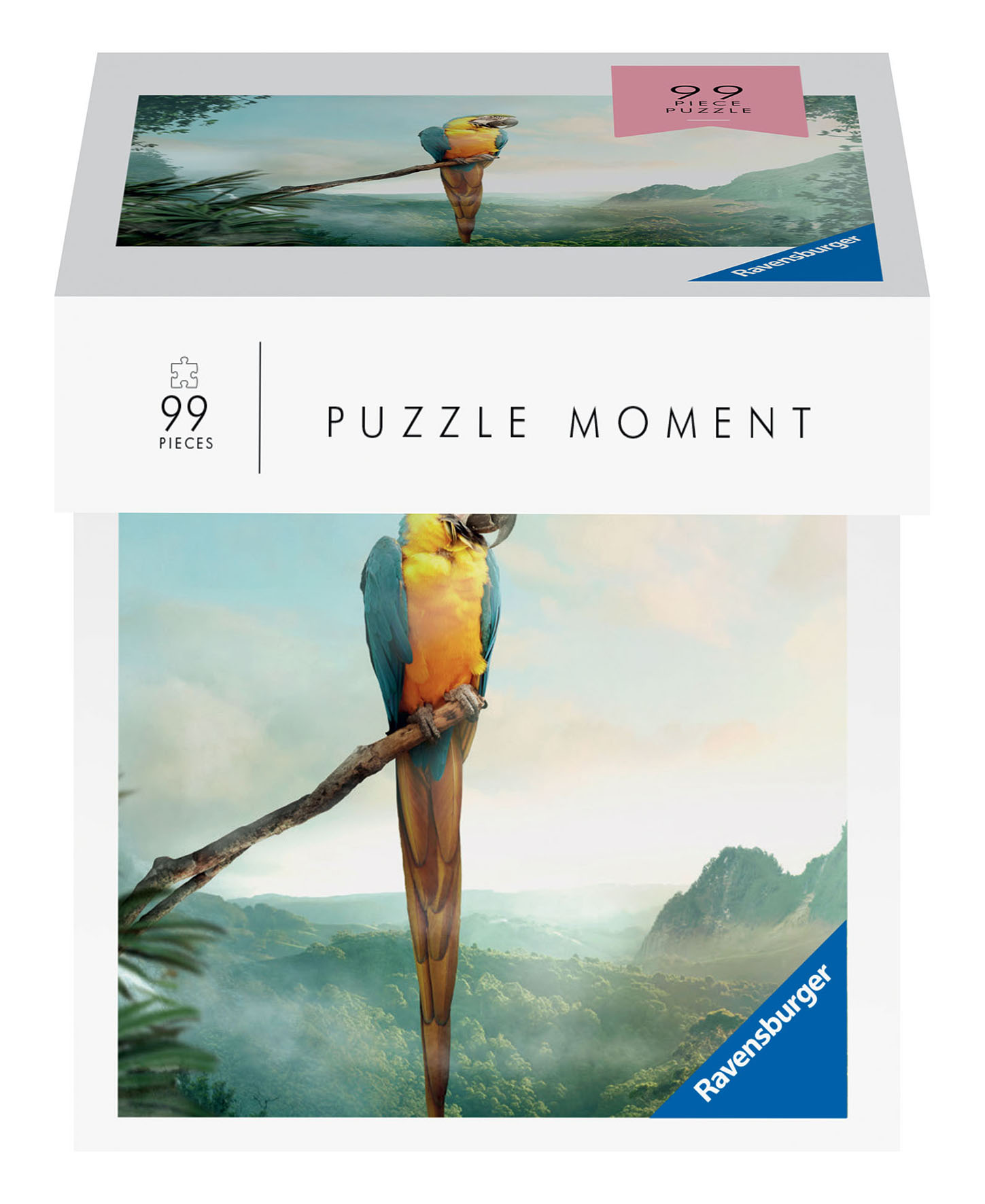 PUZZLE MOMENT DISPLAY